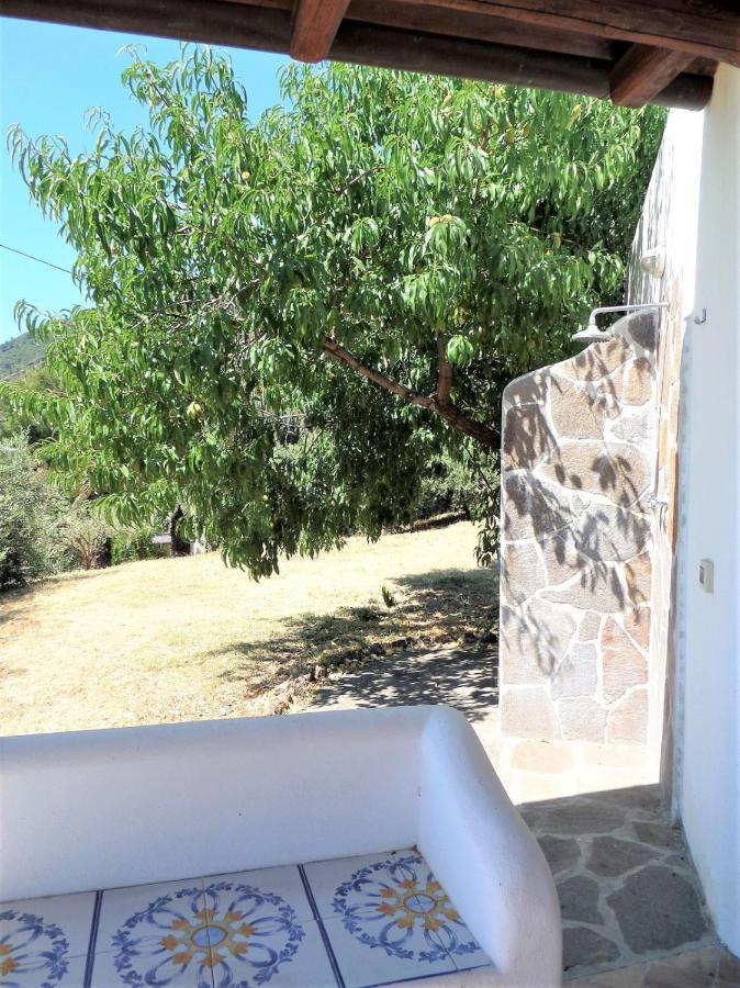 Case Al Mare - Terrazzi Panoramici E Ampio Giardino 산타마리나살리나 외부 사진